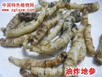 泽兰根（地参）食用方法（彩照）