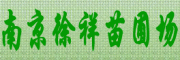 南京徐祥苗圃场