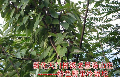 冷饭坨