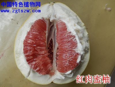 照片 029