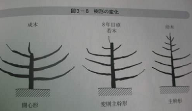 M)OK8QIXHBNI0%5A7`RJ3RS