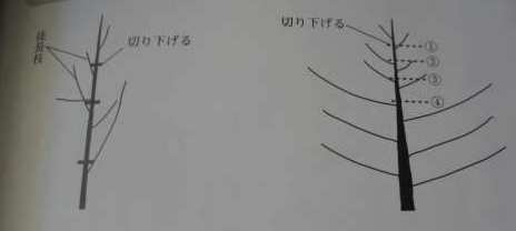 0(PGZF3F)3XBE}P@1COK[)S