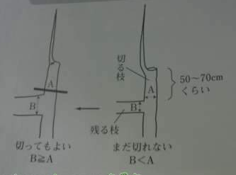 NJCE`Z0TMWJ~@O77@Y[2]MS