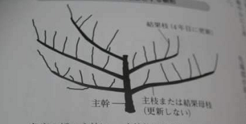 [JZLPFD5PKRX{EAII)A)T9X